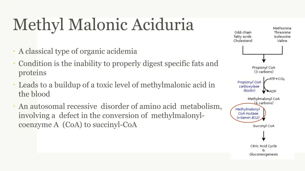 methyl malonic aciduria