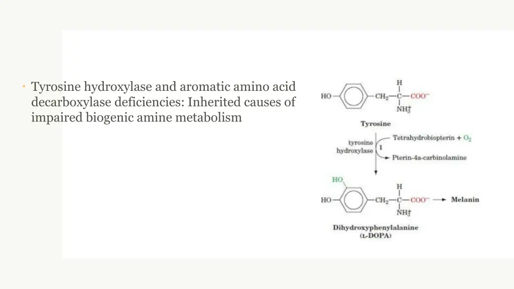 tyrosine hydroxylase and aromatic amino acid