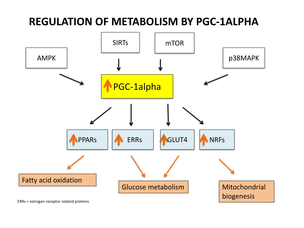 regulation of metabolism by pgc 1alpha