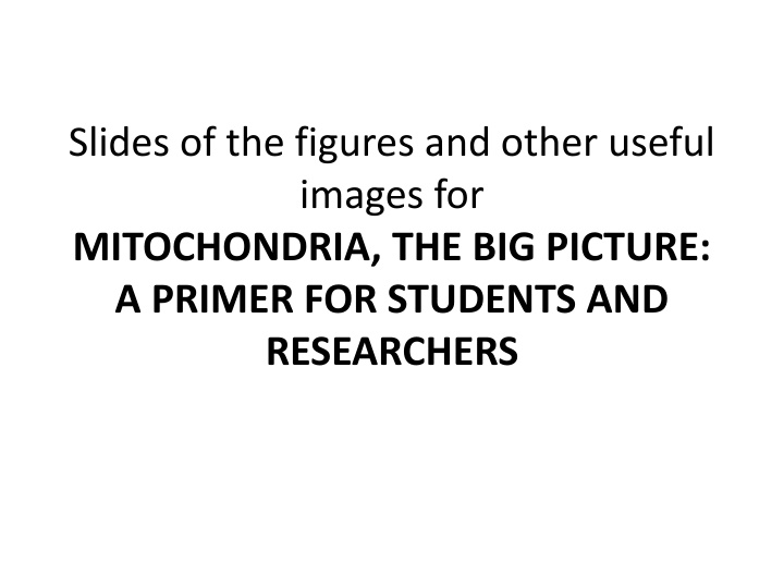 slides of the figures and other useful images