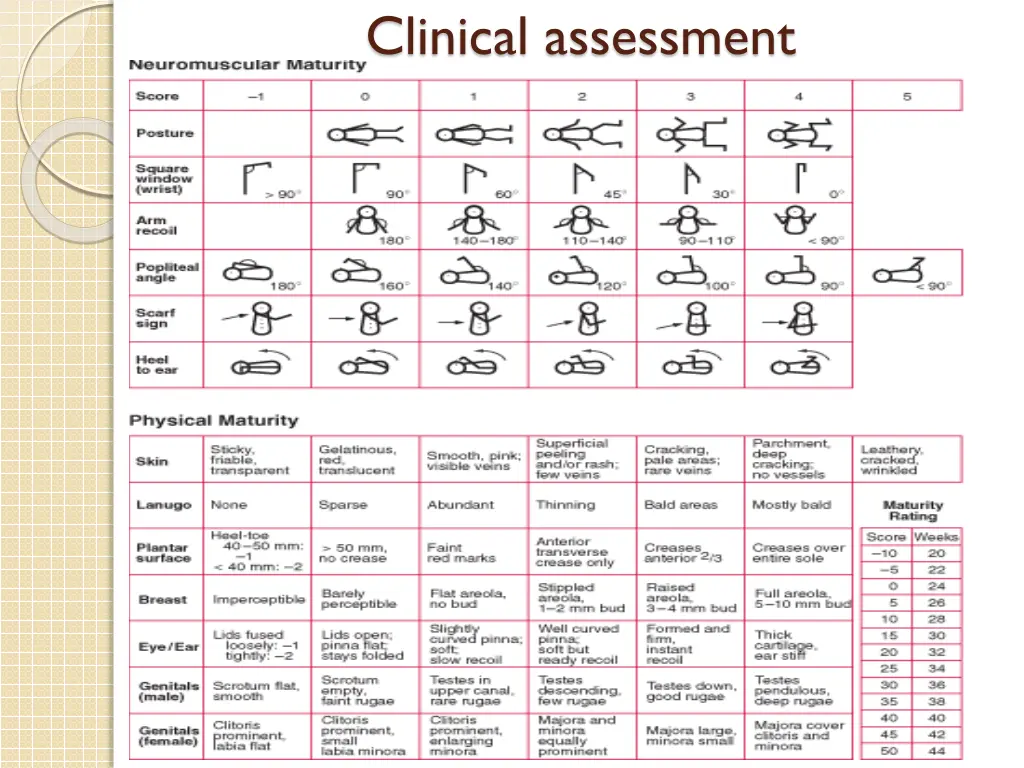 clinical assessment