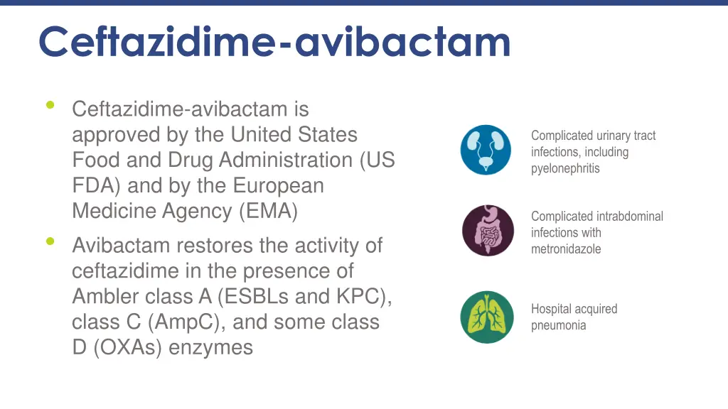 ceftazidime avibactam