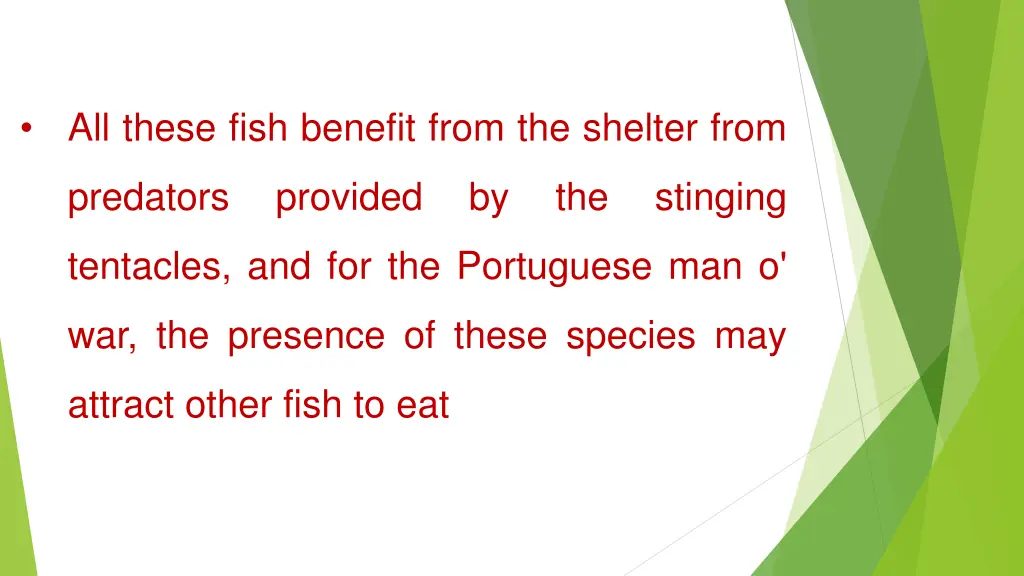 all these fish benefit from the shelter from