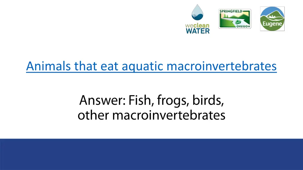 animals that eat aquatic macroinvertebrates