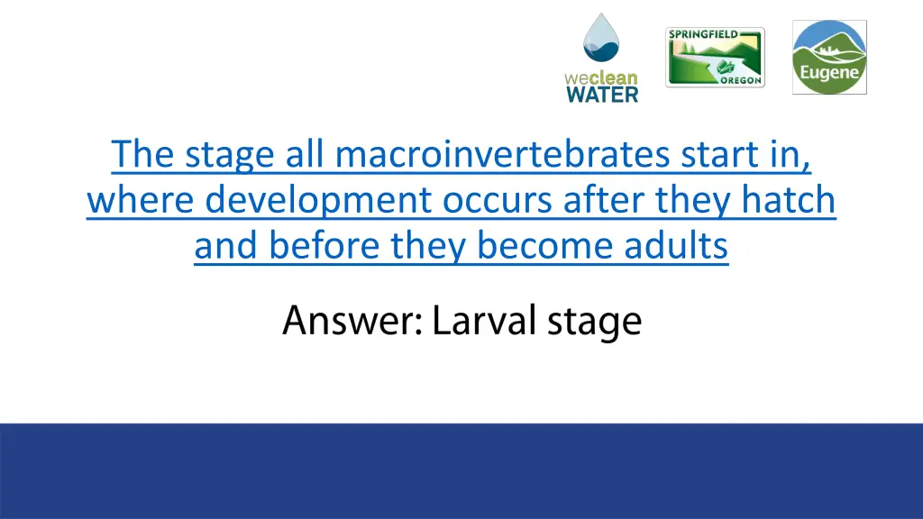 the stage all macroinvertebrates start in where