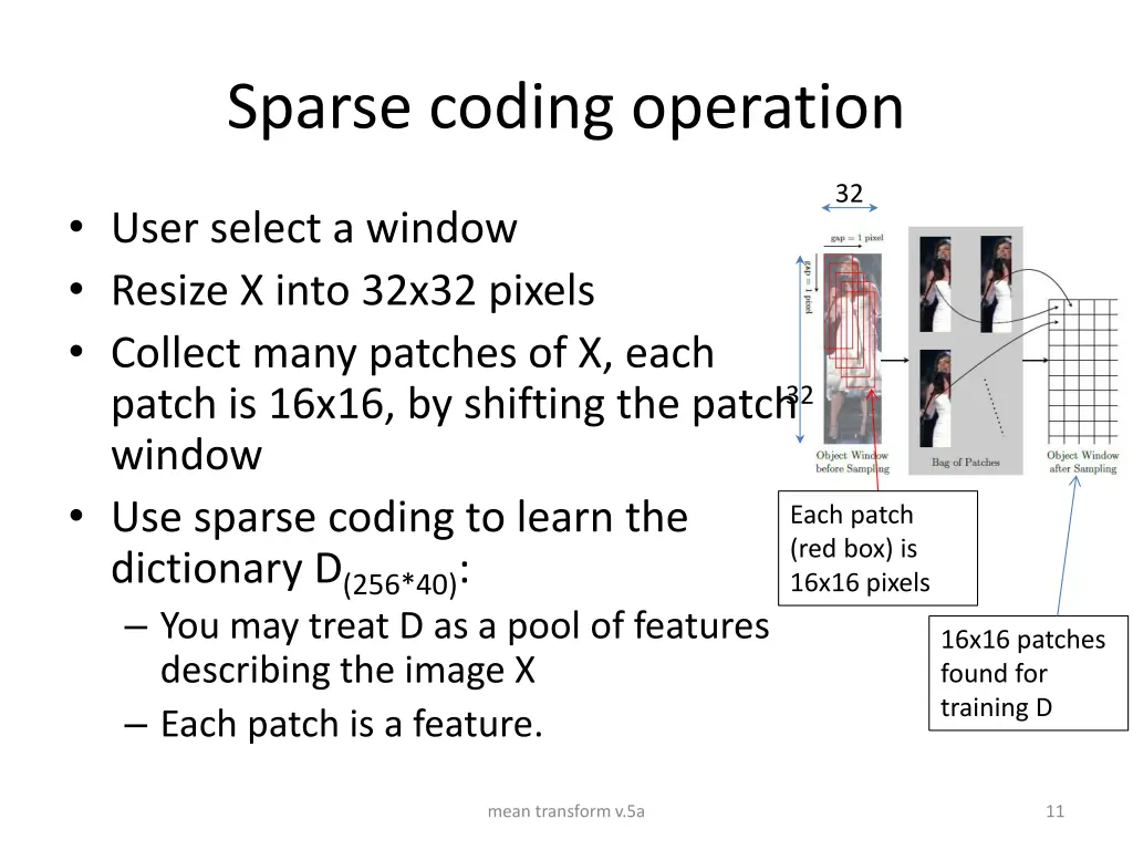 sparse coding operation