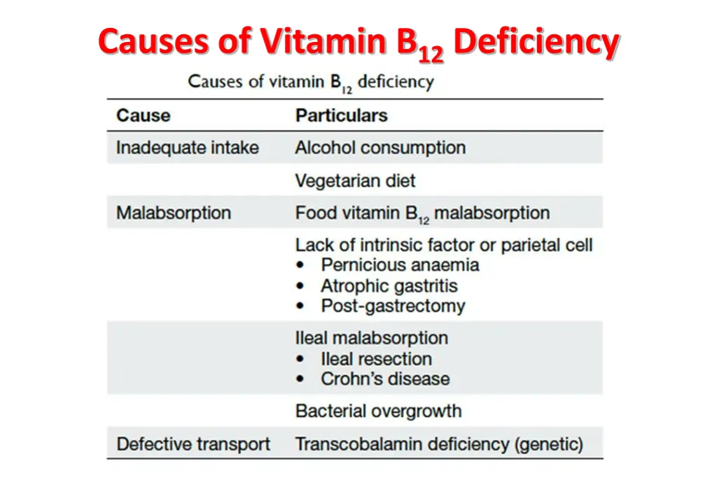 causes of vitamin b 12 deficiency