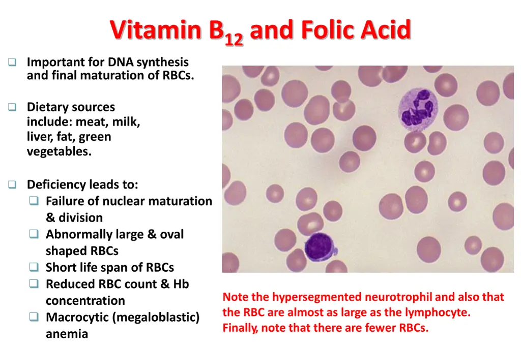 vitamin b 12 and folic acid