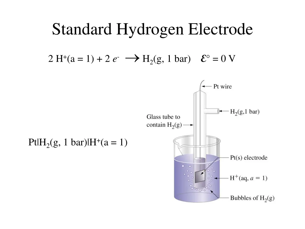 standard hydrogen electrode