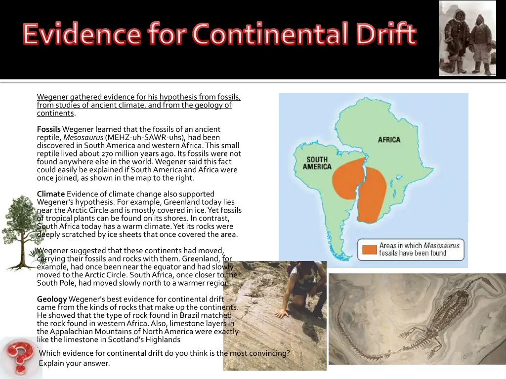 evidence for continental drift