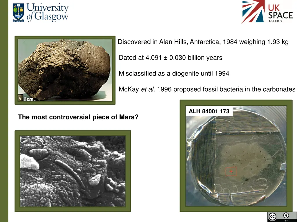 discovered in alan hills antarctica 1984 weighing