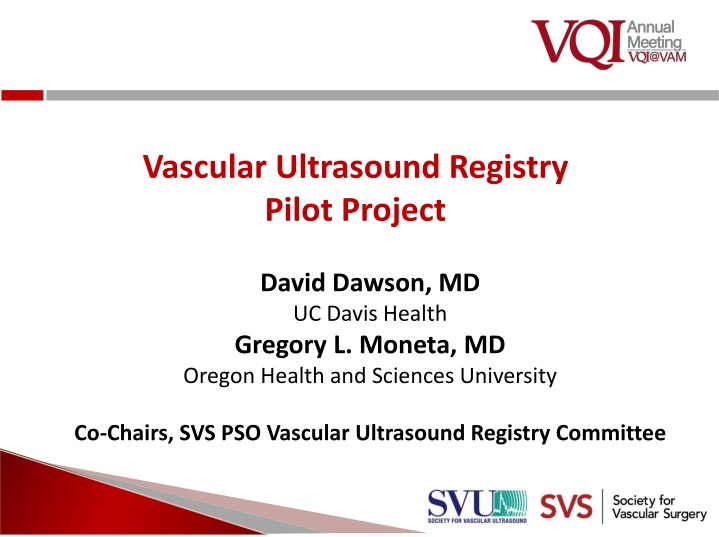 vascular ultrasound registry pilot project