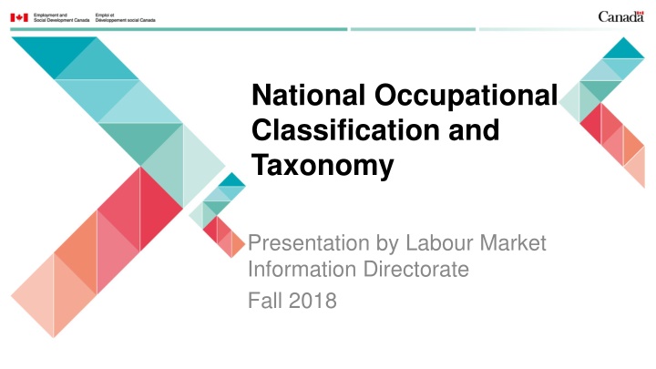 national occupational classification and taxonomy