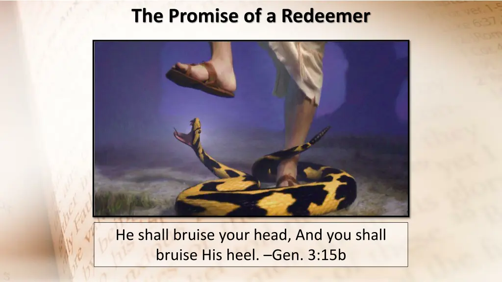 the promise of a redeemer 1