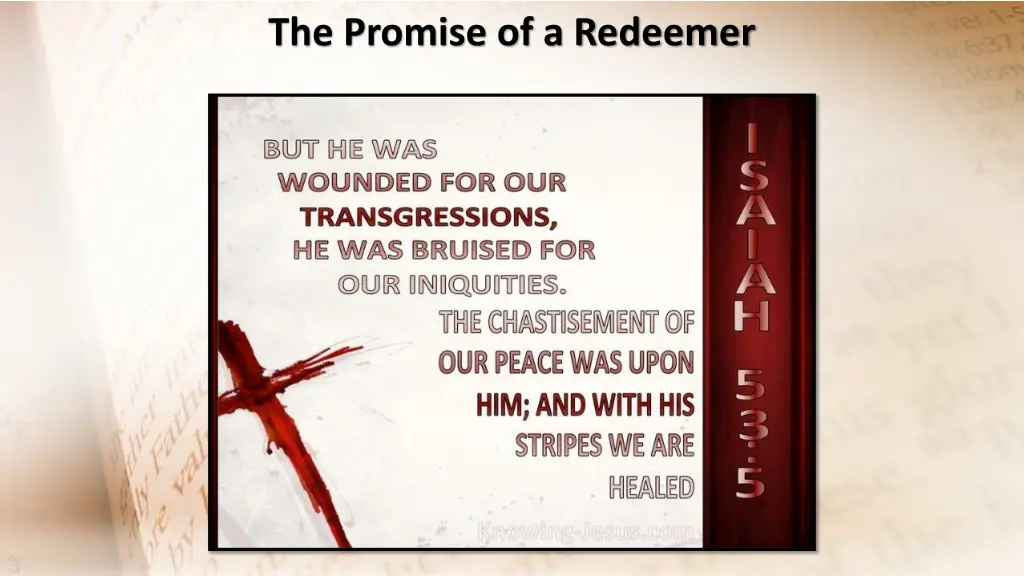 the promise of a redeemer 2