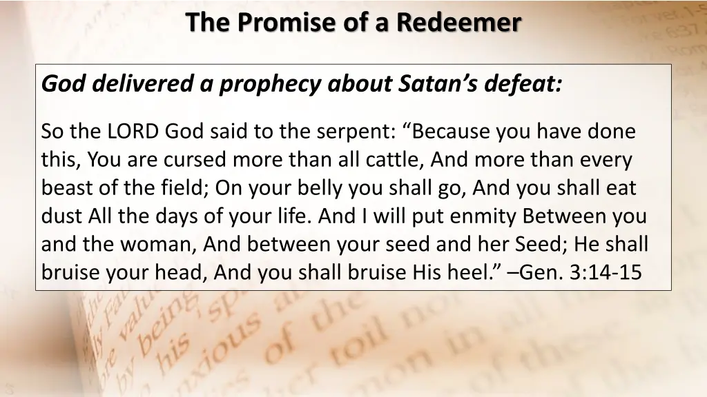 the promise of a redeemer