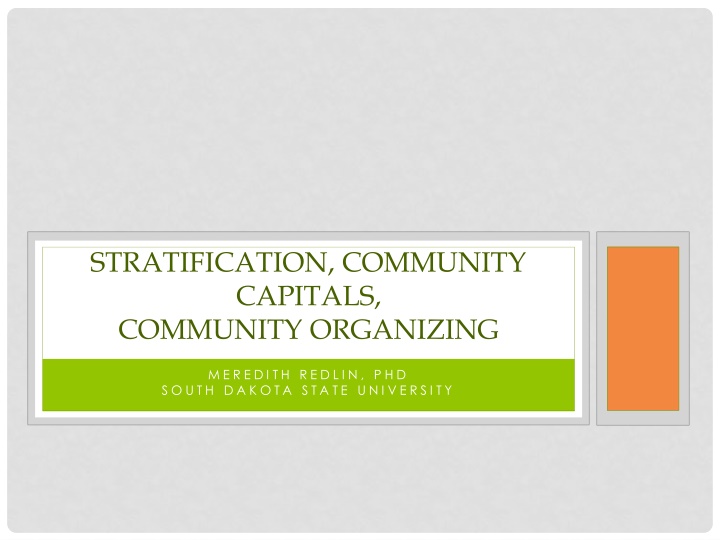 stratification community capitals community