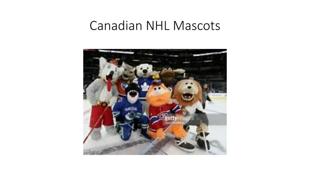 canadian nhl mascots