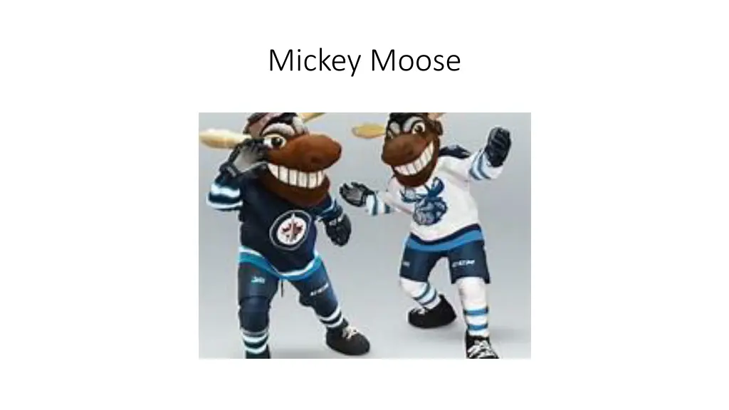 mickey moose