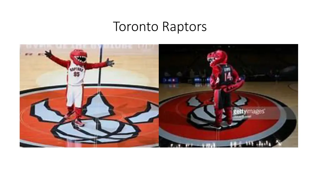 toronto raptors