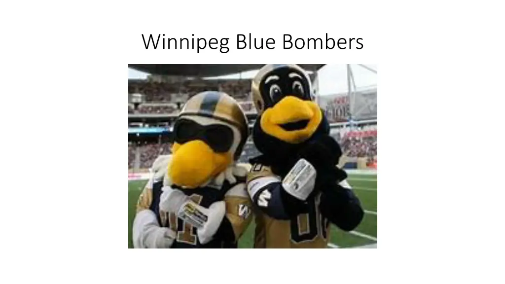 winnipeg blue bombers