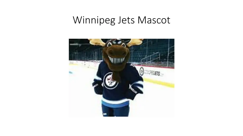 winnipeg jets mascot