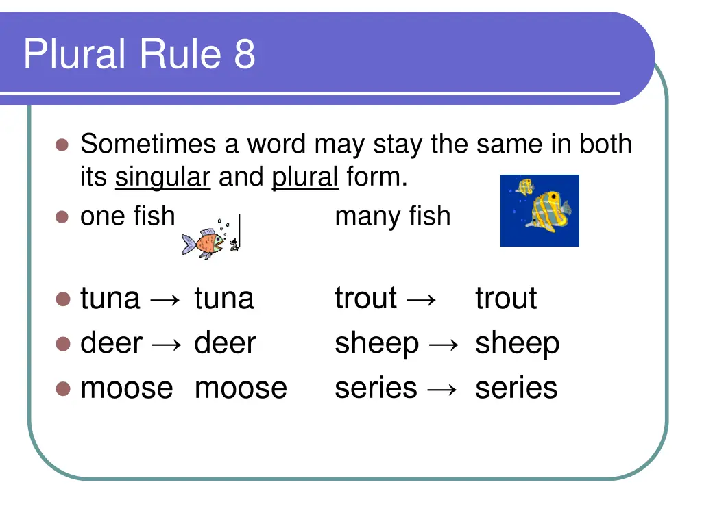 plural rule 8