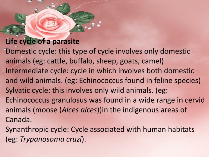 life cycle of a parasite domestic cycle this type