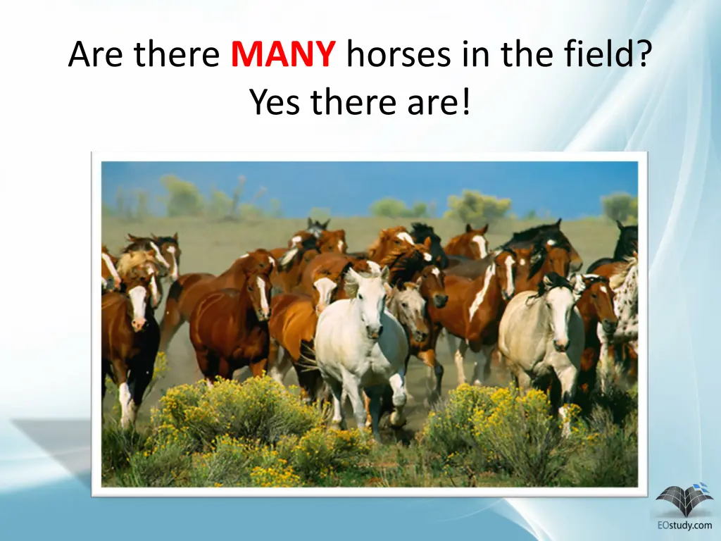 are there many horses in the field yes there are