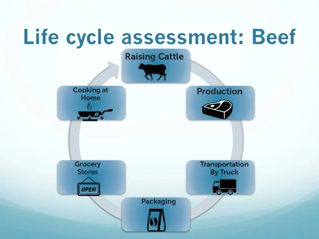 life cycle assessment beef