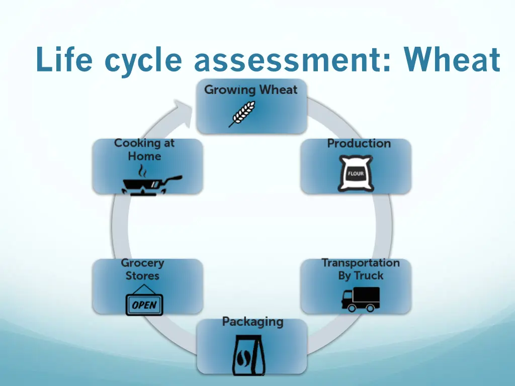 life cycle assessment wheat