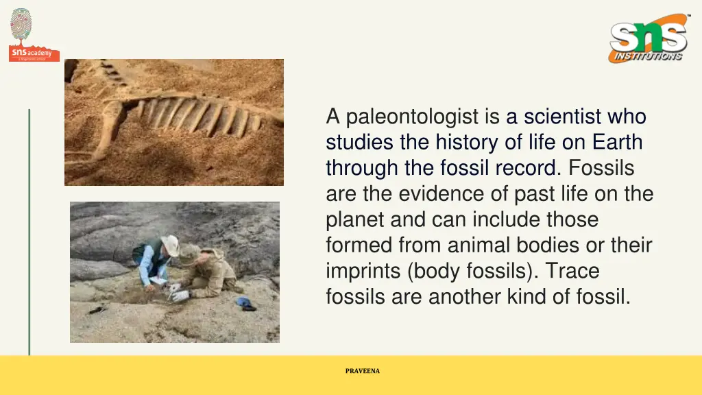 a paleontologist is a scientist who studies