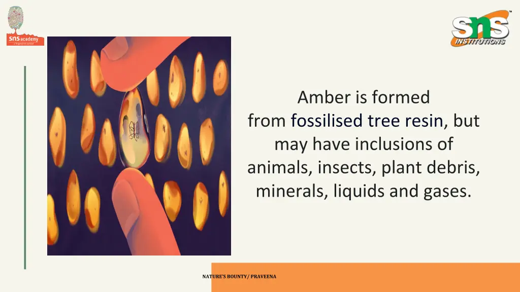 amber is formed from fossilised tree resin