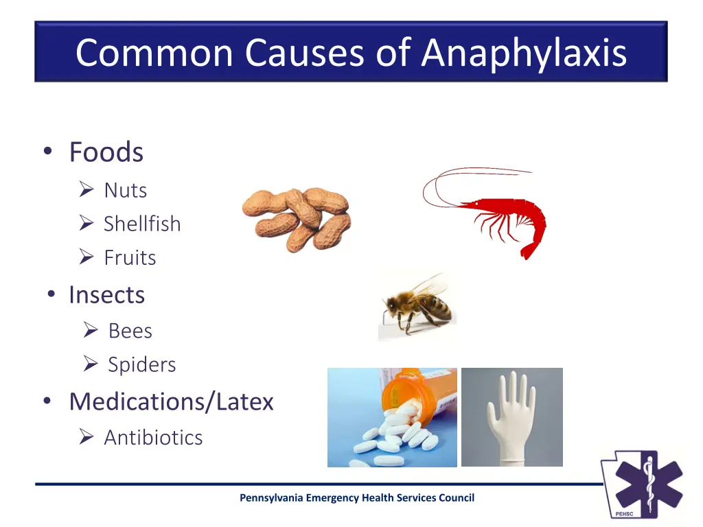 common causes of anaphylaxis