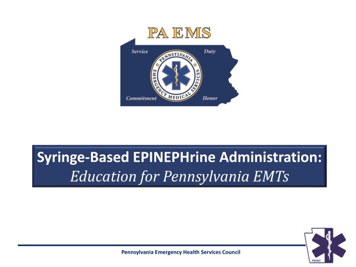 syringe based epinephrine administration