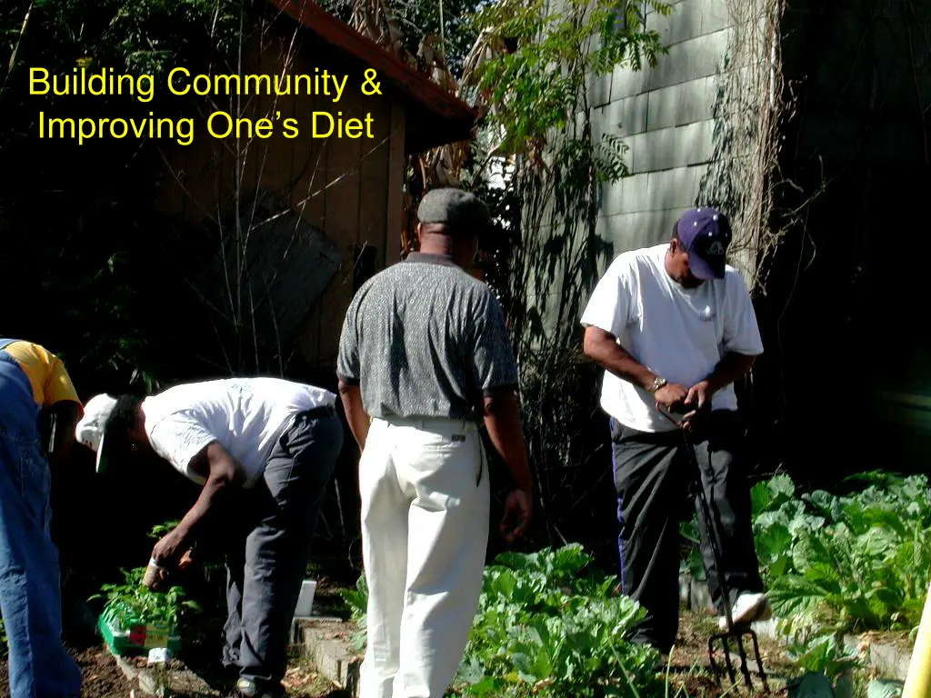 building community improving one s diet