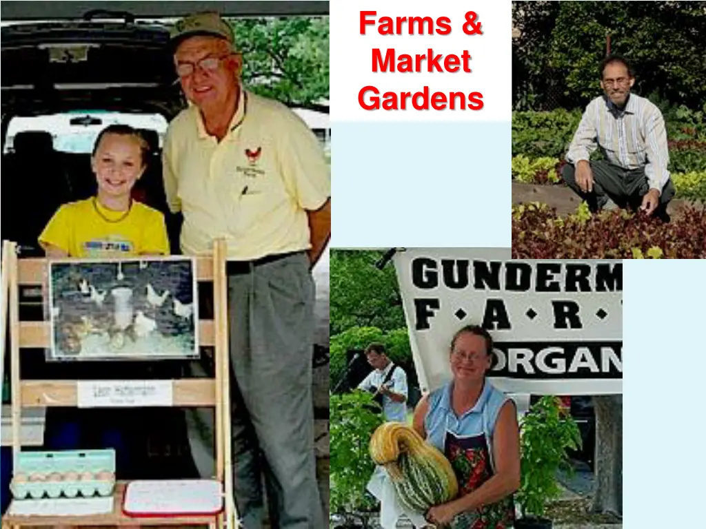 farms market gardens