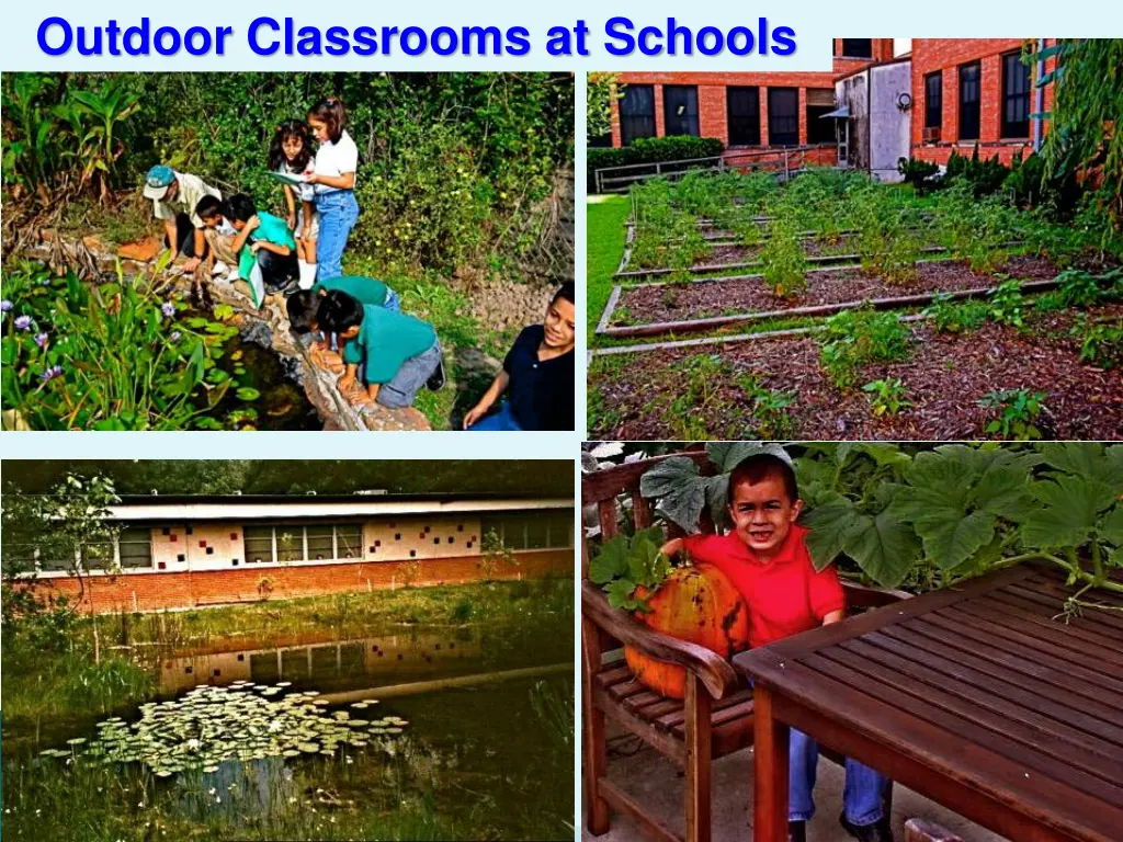 outdoor classrooms at schools