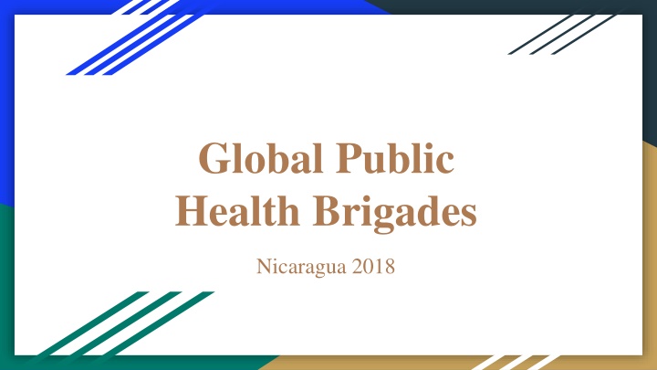 global public health brigades