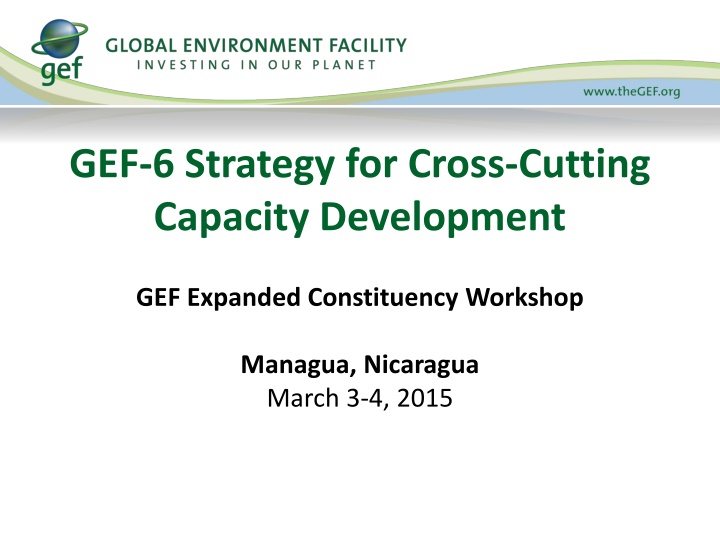 gef 6 strategy for cross cutting capacity