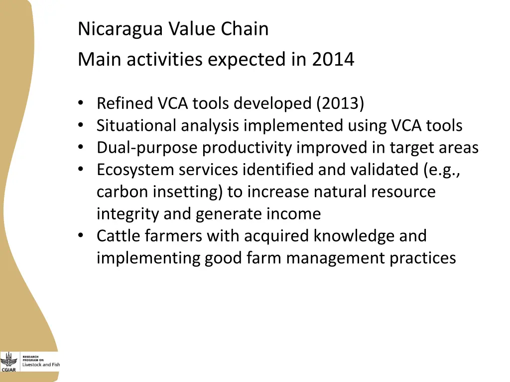 nicaragua value chain main activities expected