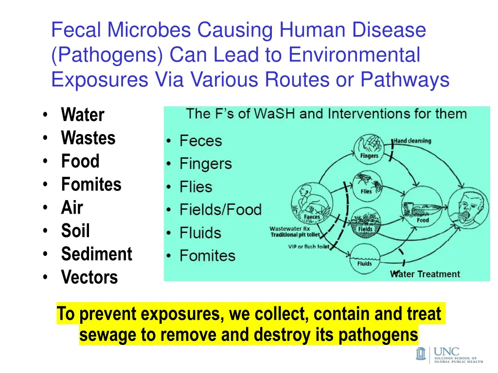 fecal microbes causing human disease pathogens