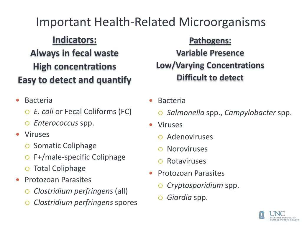 important health related microorganisms