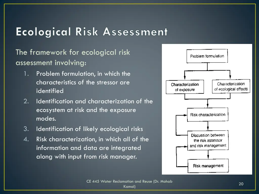 ecological risk assessment 1