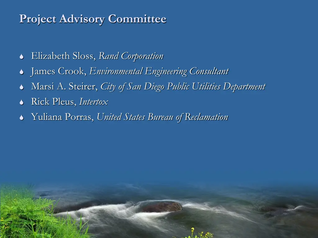 project advisory committee