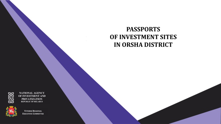 passports of investment sites in orsha district