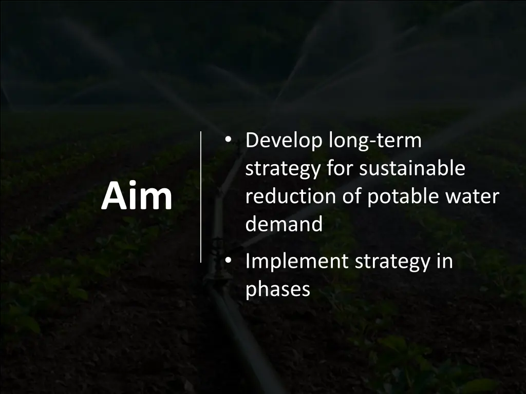 develop long term strategy for sustainable