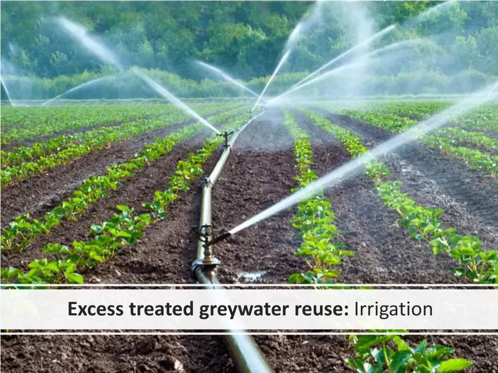 excess treated greywater reuse irrigation