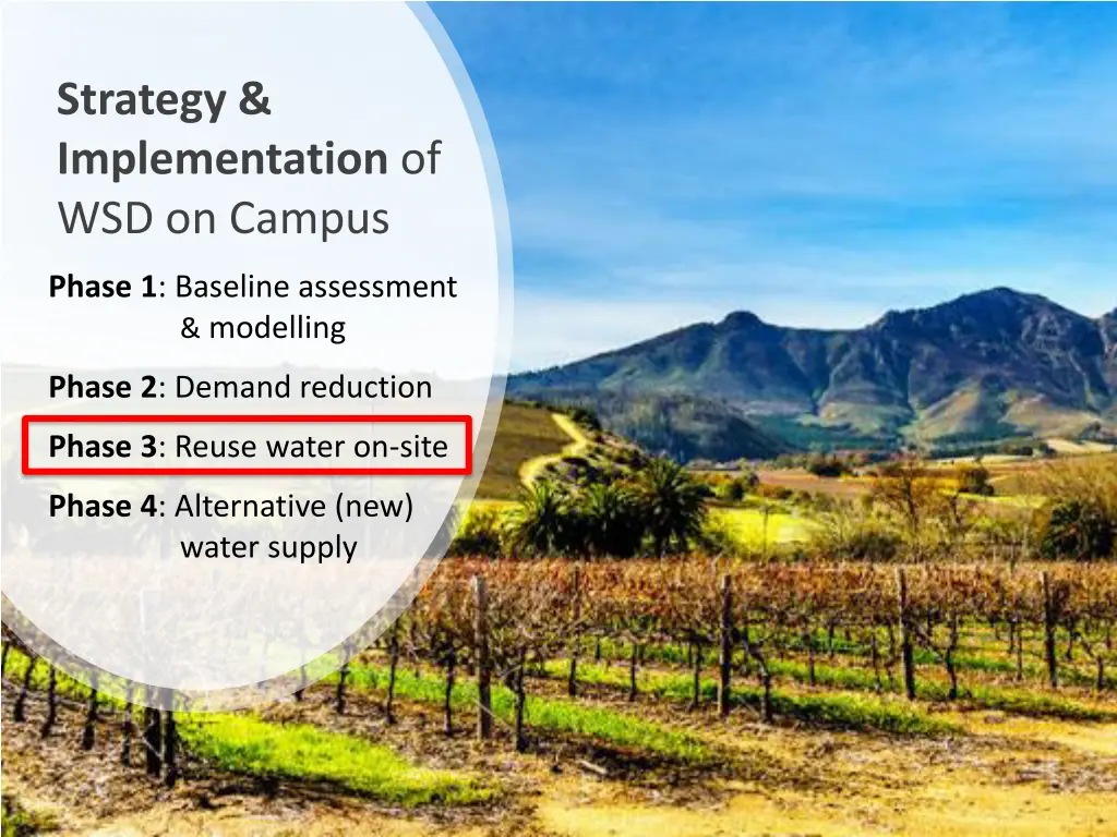 strategy implementation of wsd on campus