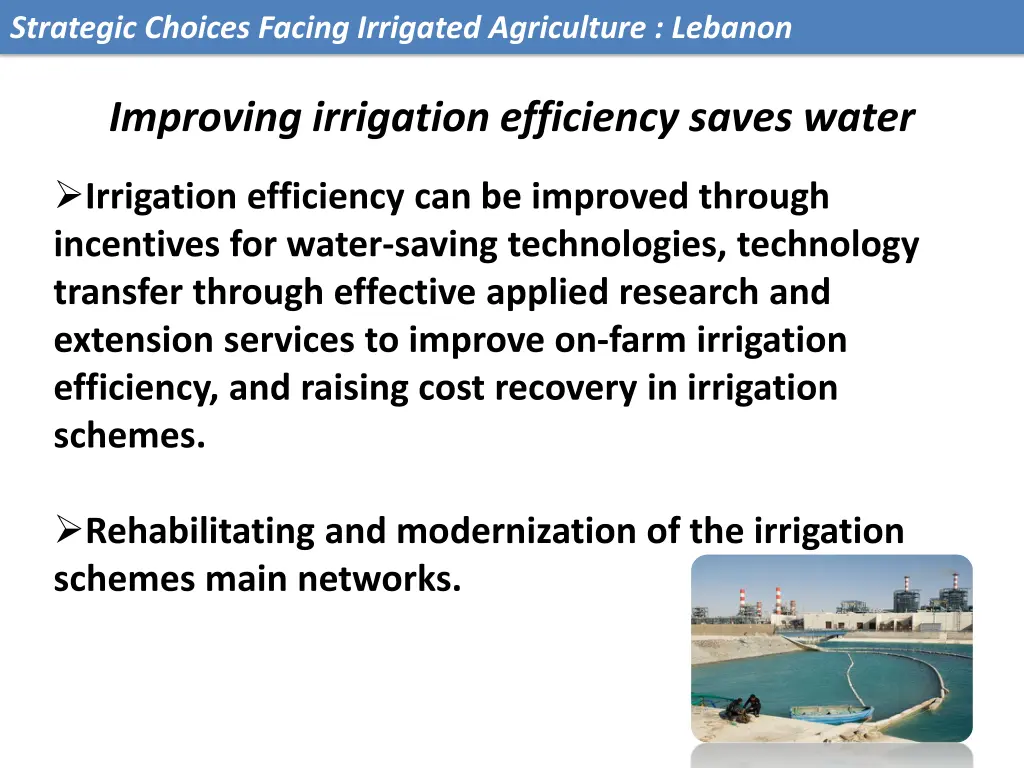 strategic choices facing irrigated agriculture